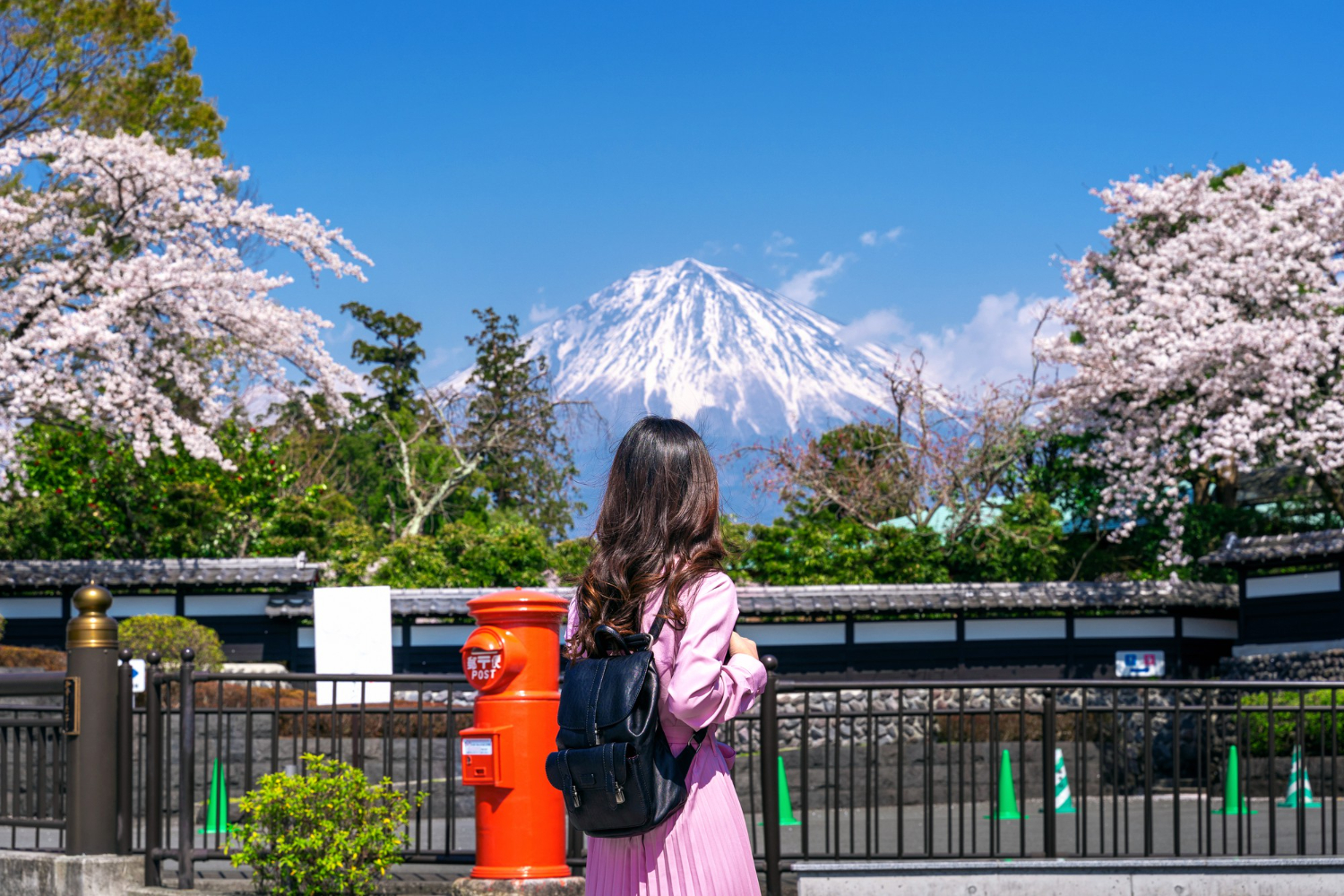 Como juntar dinheiro para a viagem dos seus sonhos ao Japão